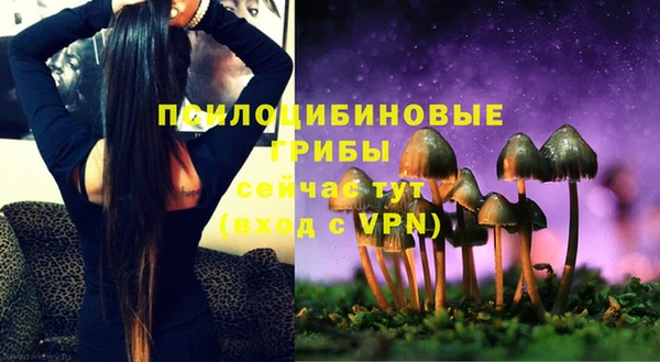 Альфа ПВП Нея