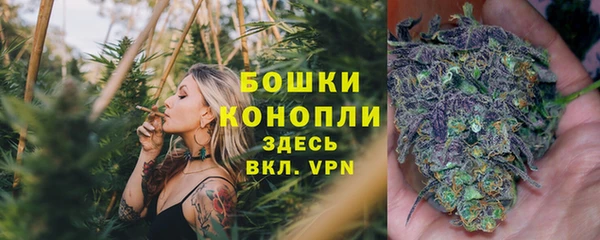 Альфа ПВП Нея