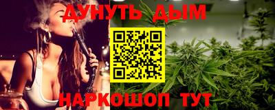 кокс Гатчина