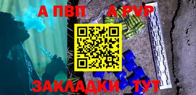 кокс Гатчина