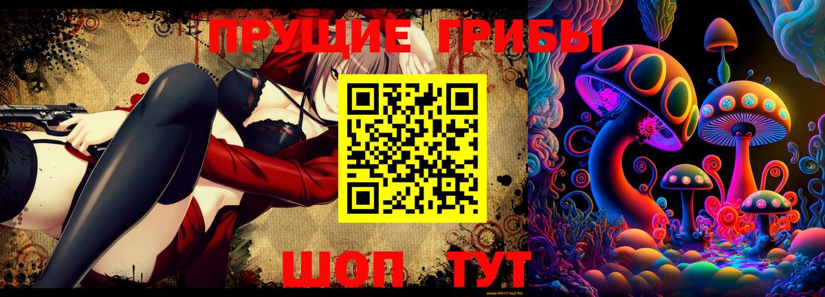 Псилоцибиновые грибы Cubensis  Луга 