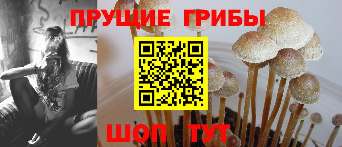 Галлюциногенные грибы ЛСД Луга