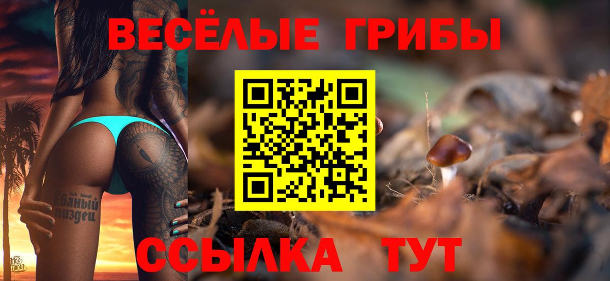 Галлюциногенные грибы GOLDEN TEACHER Луга